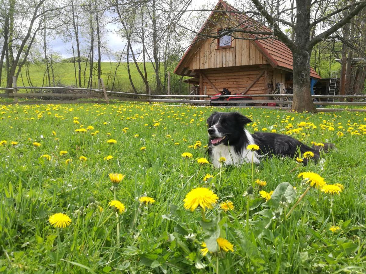 Holiday Home Holiday Raj Bešeňová 외부 사진